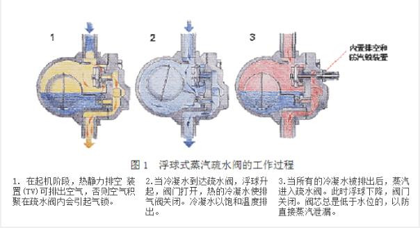 進口蒸汽疏水閥有哪些類型(圖1)